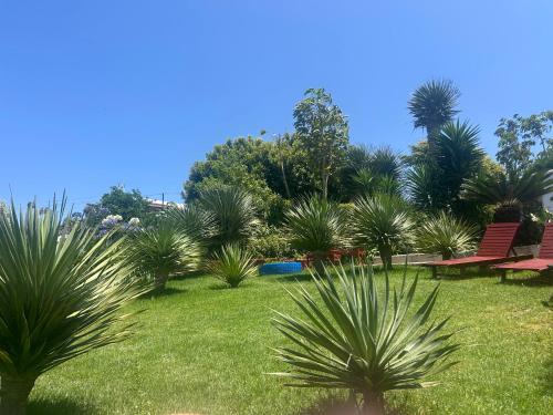 Tegueste Apartment | Family-Friendly Retreat at CASA DIEGO - Rated 9.5/10