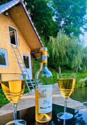 Valea Lunga Cabin | Casa Din Vale