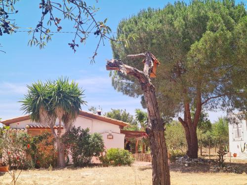 Colegio House | Welcoming Casa do Avô António: Pet-Friendly Retreat