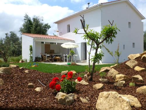 Figueiro dos Vinhos House | Oceanfront Retreat: Casa do Olival with 9.4/10 Rating