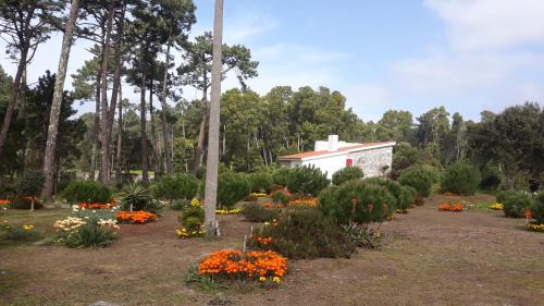 Caminha House | Exceptional Stay at Casa do Sol: 4-Star Family Friendly