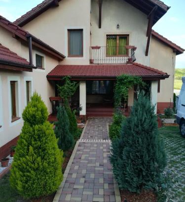 Baile Felix House | Casa Doina: Guest Rated 10/10 with Cozy Amenities