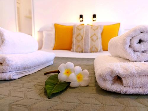 Brena Baja Apartment | Discover Casa El Drago 6 - Guest Rated 9.6/10!