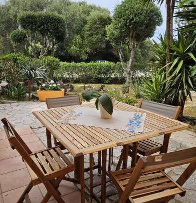 Porto Pollo House | Cozy Casa Elvira: Oceanview Retreat with Pet-Friendly Perks