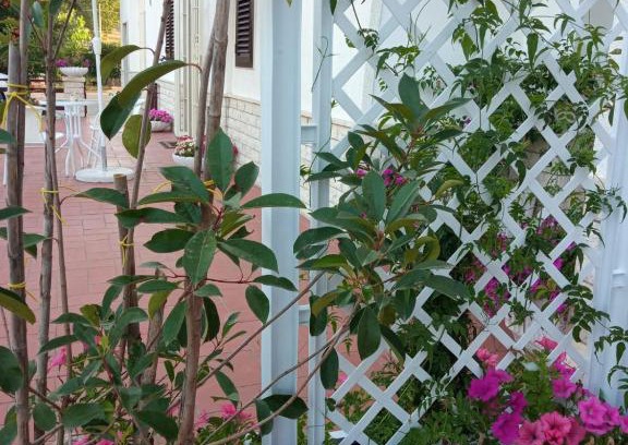 Specchiaruzzo House | Discover Casa Fefè: Your Ideal Budget-Friendly Getaway