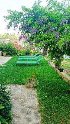 Olbia Apartment | Guest Rated 10/10: Casa Vacanze Dolce Hibiscus Apartment