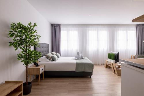 San Cristobal de La Laguna Apartment | Casa Flori