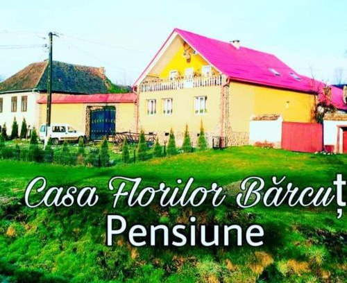 Soars House | Guest Rated: Casa Florilor Barcut with Oceanfront Views