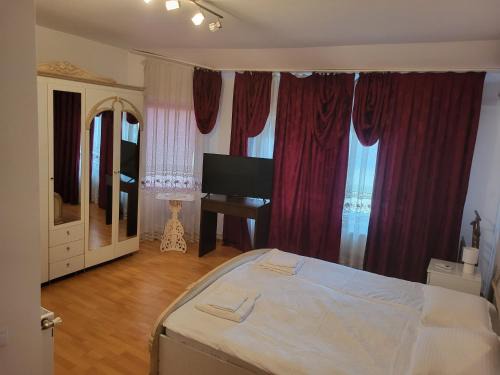 Sebes Apartment | Casa Frizerului - Free Pet Stay & Motorcycle Friendly Retreat