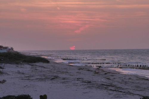 Chelem House | Pet-Friendly Oasis: Casa Garceta with Oceanfront Views