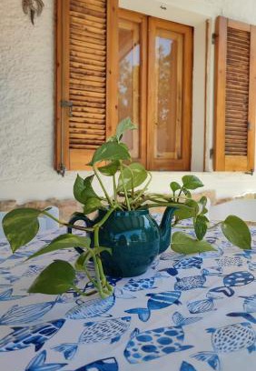 Badesi House | Pet-Friendly Casa Giulia in Badesi: Family Welcome Awaits