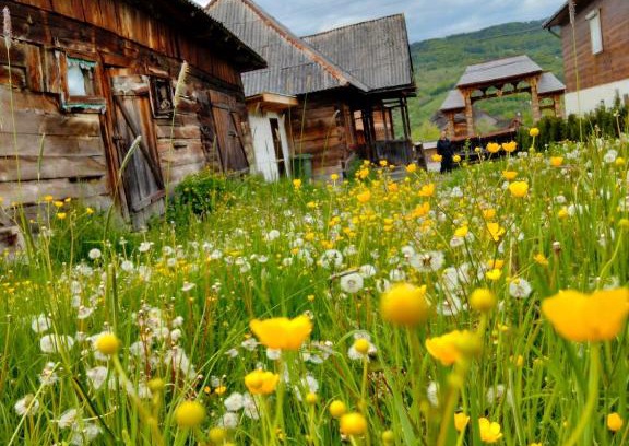 Nanesti House | Pet-Friendly Retreat at Casa Godja Oncești for Families