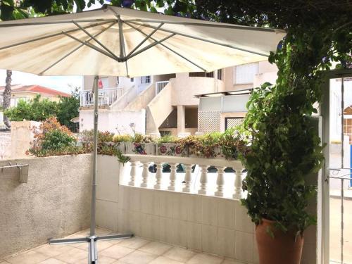 Los Alcazares House | Pet-Friendly CASA GORRIÓN: Guest Rated 10/10 for Families