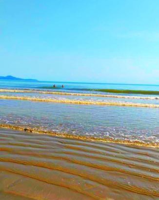 Centro House | Casa grande a 50 metros da praia