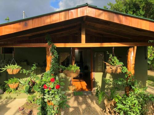 Monteverde Bed & Breakfast | Guest Favorite: Casa Haydee Monteverde with Breakfast & Access
