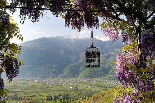 Tresivio Apartment | Casa il Glicine Valtellina