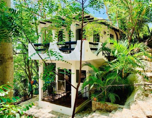 Puerto Angel House | Explore Casa Il Tucano: Pet-Friendly Oceanfront Retreat