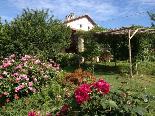 Vaglio Serra House | Casa Isabella: Oceanfront Oasis with Perfect 10/10 Rating