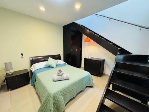 Irapuato Apartment | Cozy Apartments in Irapuato with Pet-Friendly Amenities