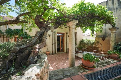 Trigueros House | Casa Jacaranda