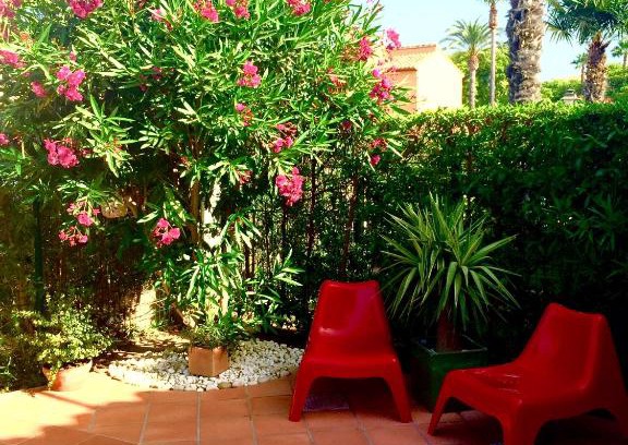 Platja de l'Arenal Villa | Discover Casa Javea Sands: Oceanfront Retreat with Pool
