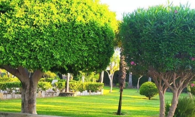 Elche House | Casa Joan a place to disconnect