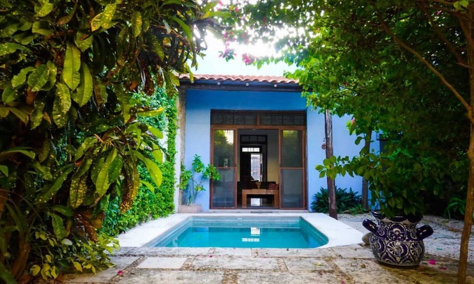 Zona Paseo Montejo House | Discover Casa Kuxtal: Merida's Premier Pet-Friendly Retreat
