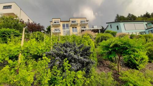 Zummeterhof Apartment | Oceanfront Casa la Vino: Guest Rated 8.8/10 for Families