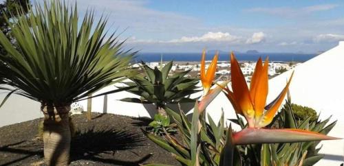 Tinajo House | Discover Casa Lancelot: Family-Friendly Oasis with Pool