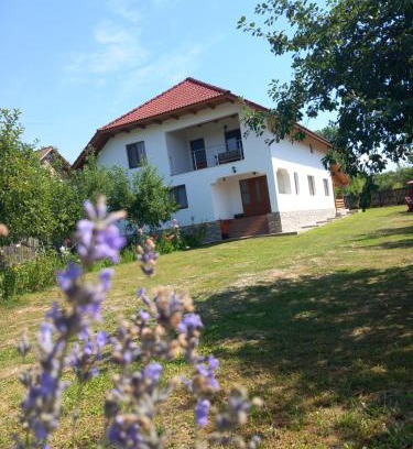 Gorj House | Pet and Child Friendly Stay at Casa Lavinia Crasna Gorj