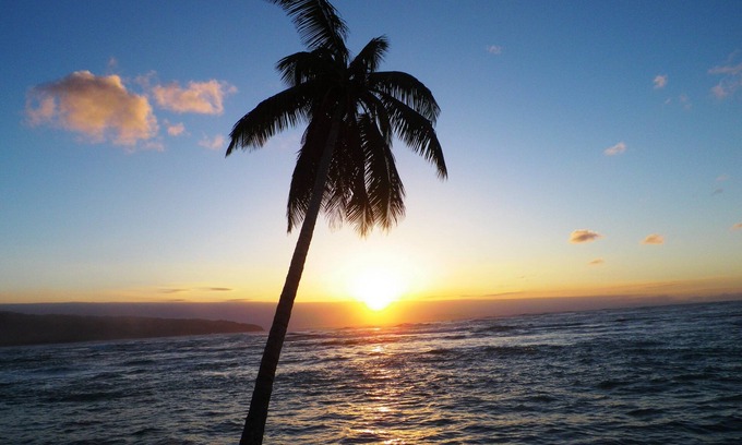 La Ceiba Apartment | Pet-Friendly Casa Lily & Coco with Oceanfront Hot Tub