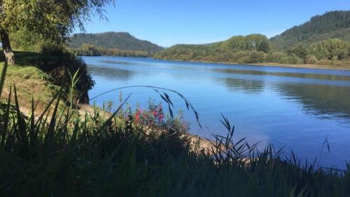 Valdivia House | Inviting Casa Linden: Family-Friendly Stay with Great Reviews