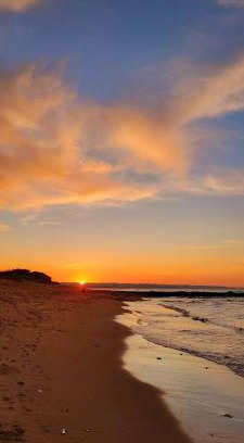 Rocha House | Pet-Friendly Casa Lobo with Ocean Views and Private Beach