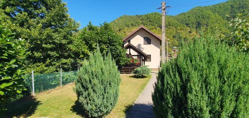 Malaia House | Exceptional Casa Lotrilor: Family-Friendly Retreat