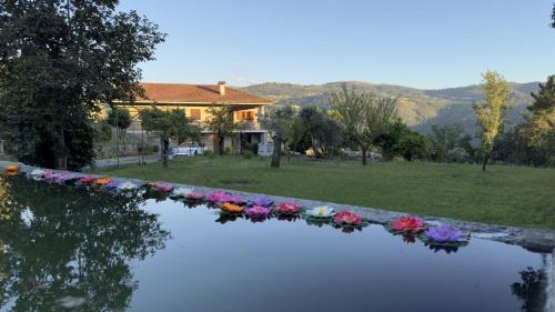Sande House | Inviting Casa Loureiro de Baixo: Family & Pet Friendly Stay