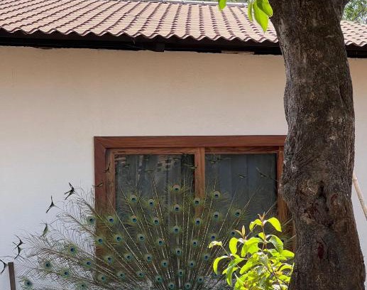 Cuautepec Other | Pet-Friendly Retreat at Casa Magdalena with Pool Access