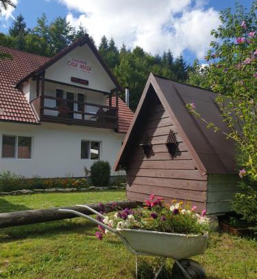 Cartisoara House | Budget-Friendly Casa Maia: Child Friendly & Kitchen Amenities