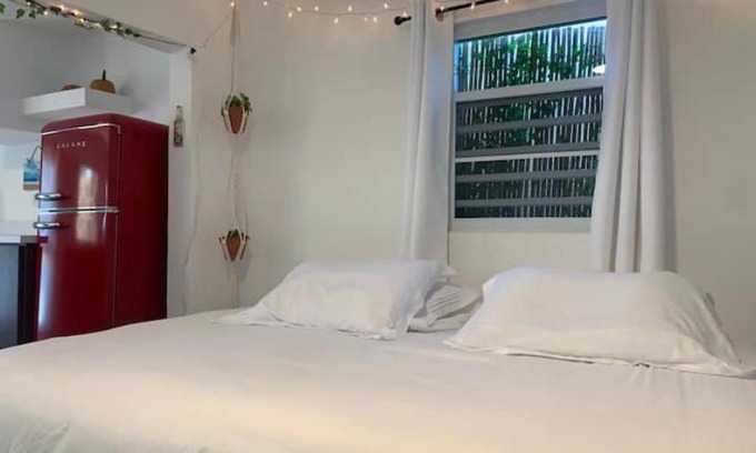 Islote House | Casa Mango: Guest Rated 10/10 with Pet-Friendly Amenities
