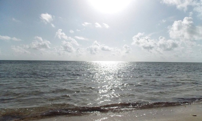 Santa Lucia House | Casa Mar Verde: Oceanfront Retreat with Pet-Friendly Comfort