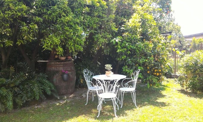 Angri Apartment | Discover Casa Marinella: Pet-Friendly with Top Reviews