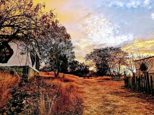 Teotitlan del Valle House | Experience Nature and Serenity at Casa Montagnola
