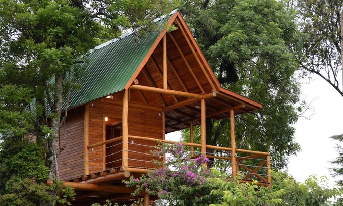 Joao Alves House | Guest Rated 10/10: Casa na Árvore with Unique Amenities