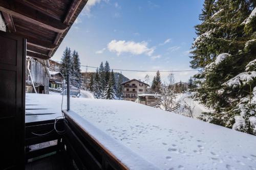 Nova Levante Apartment | Pet-Friendly Getaway at Casa nel bosco di Gabri E Ale