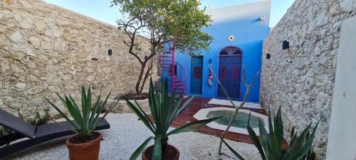 Zona Centro House | Historic Casa Nicté: Relax by the Ocean with Excellent Amenities