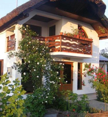 Plopul House | Family-Friendly Casa Nicu in Murighiol with Great Amenities
