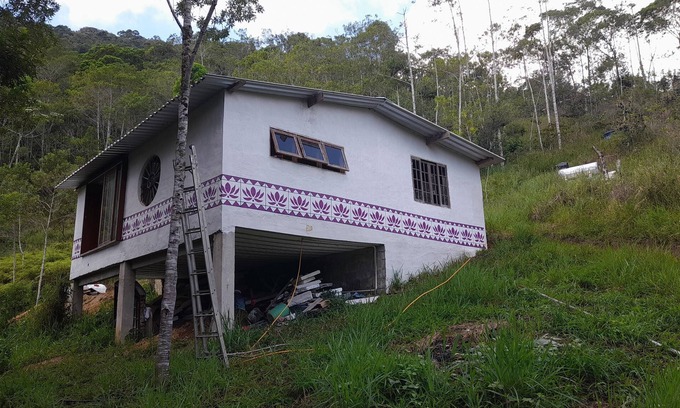 Paraty Cottage | Relaxing Casa Nova in the Atlantic Forest with Natural Pool