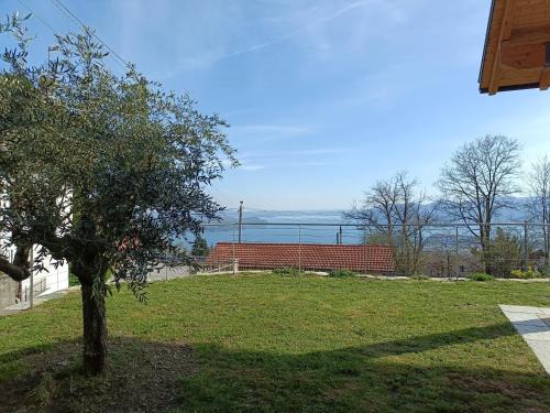 Bee Apartment | CASA NUOVA: Exceptional Stay with a 9.2/10 Guest Rating