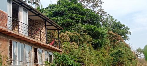 Cali Other | Cozy Casa Oma: Pet-Friendly Retreat with Pool & Dining