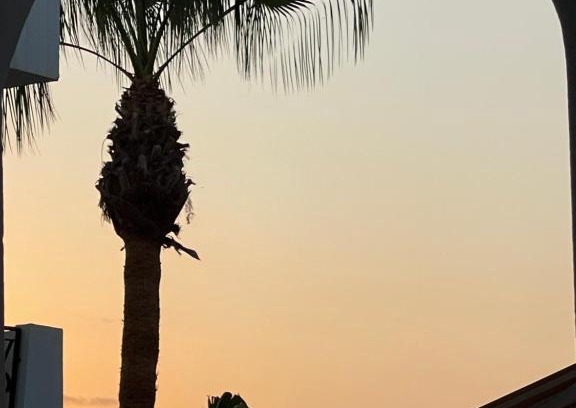 Palomares Apartment | Oceanfront Family Retreat at Casa Palmera - Guest Rated 9.7