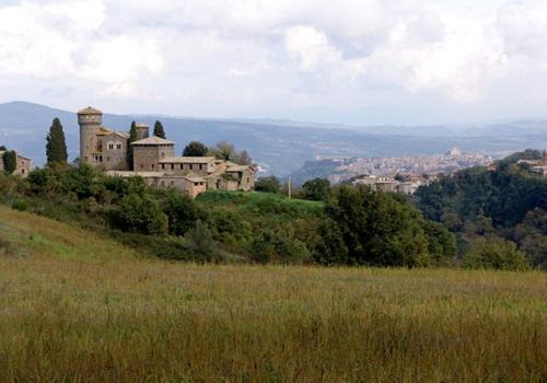 Sugano House | Discover Casa Passero Orvieto: Pet & Child Friendly Retreat